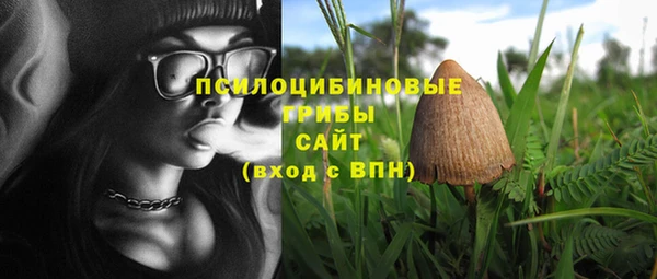 альфа пвп Горняк