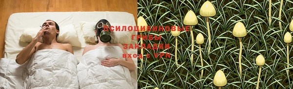 альфа пвп Горняк