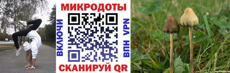 купить наркоту  Михайлов  Псилоцибиновые грибы Magic Shrooms 
